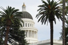 State Policy