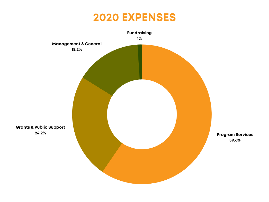 CSH 2020 Expenses Pie Chart